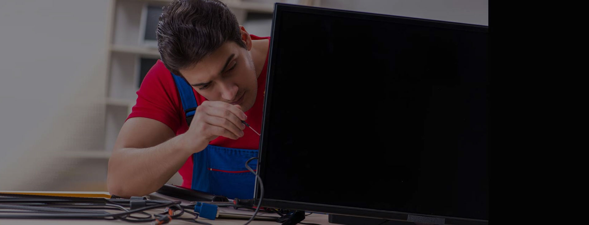 Television Service in Andhra Pradesh